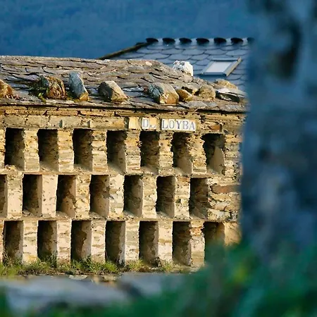 The Cliffs - Picon Seaside Loiba